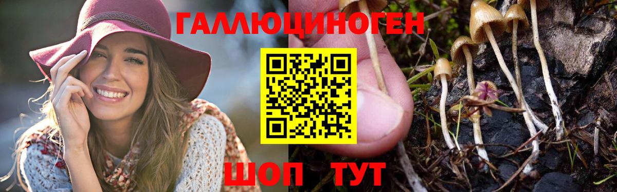 Псилоцибиновые грибы мицелий Ярославль