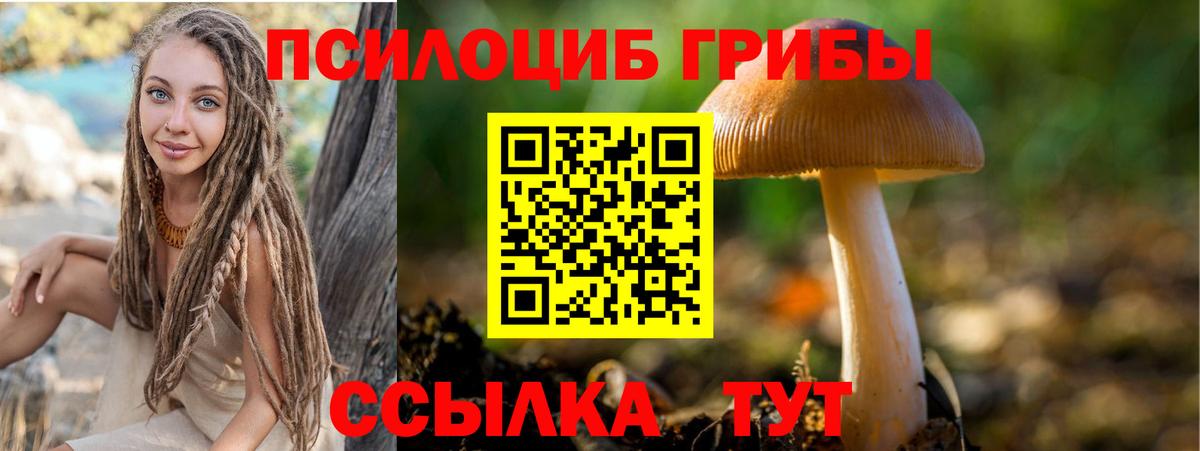 Ярославль  наркошоп  Галлюциногенные грибы Magic Shrooms  Вход с VPN  Галлюциногенные грибы MAGIC MUSHROOMS 